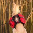 iEnergy MAL Dog Backpack For Sale