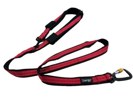 iEnergy CAR - 6 in 1 Dog Leash on Sale