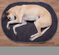 iEnergy™ BUR Resting Mat Online now