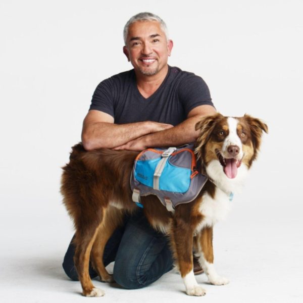 Cesar Millan™ Dog Backpack Hot on Sale