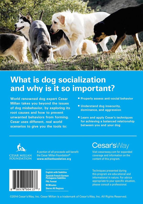 Cesar Millan Socialization™ DVD Cheap