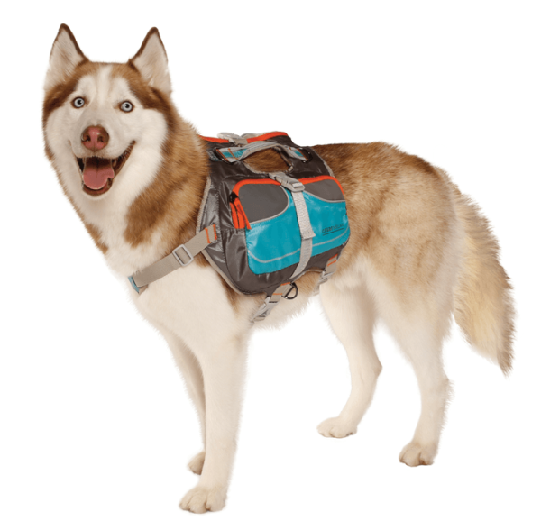 Cesar Millan™ Dog Backpack Hot on Sale