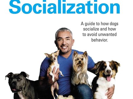 Cesar Millan Socialization™ DVD Cheap