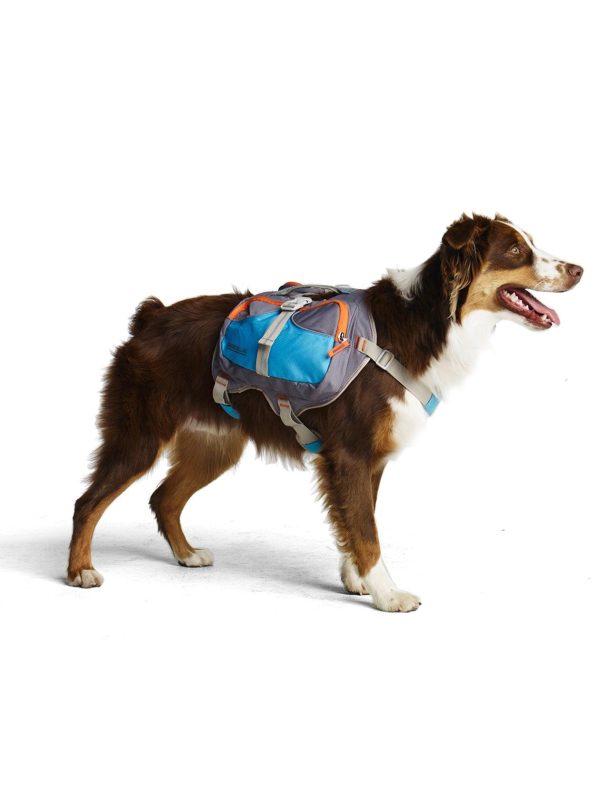 Cesar Millan™ Dog Backpack Hot on Sale