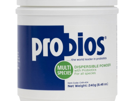 Probios Dispersible Powder Fashion