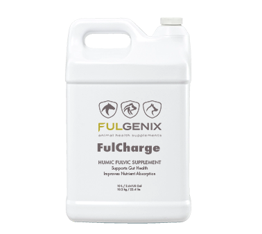 FulGenix FulCharge Online Sale